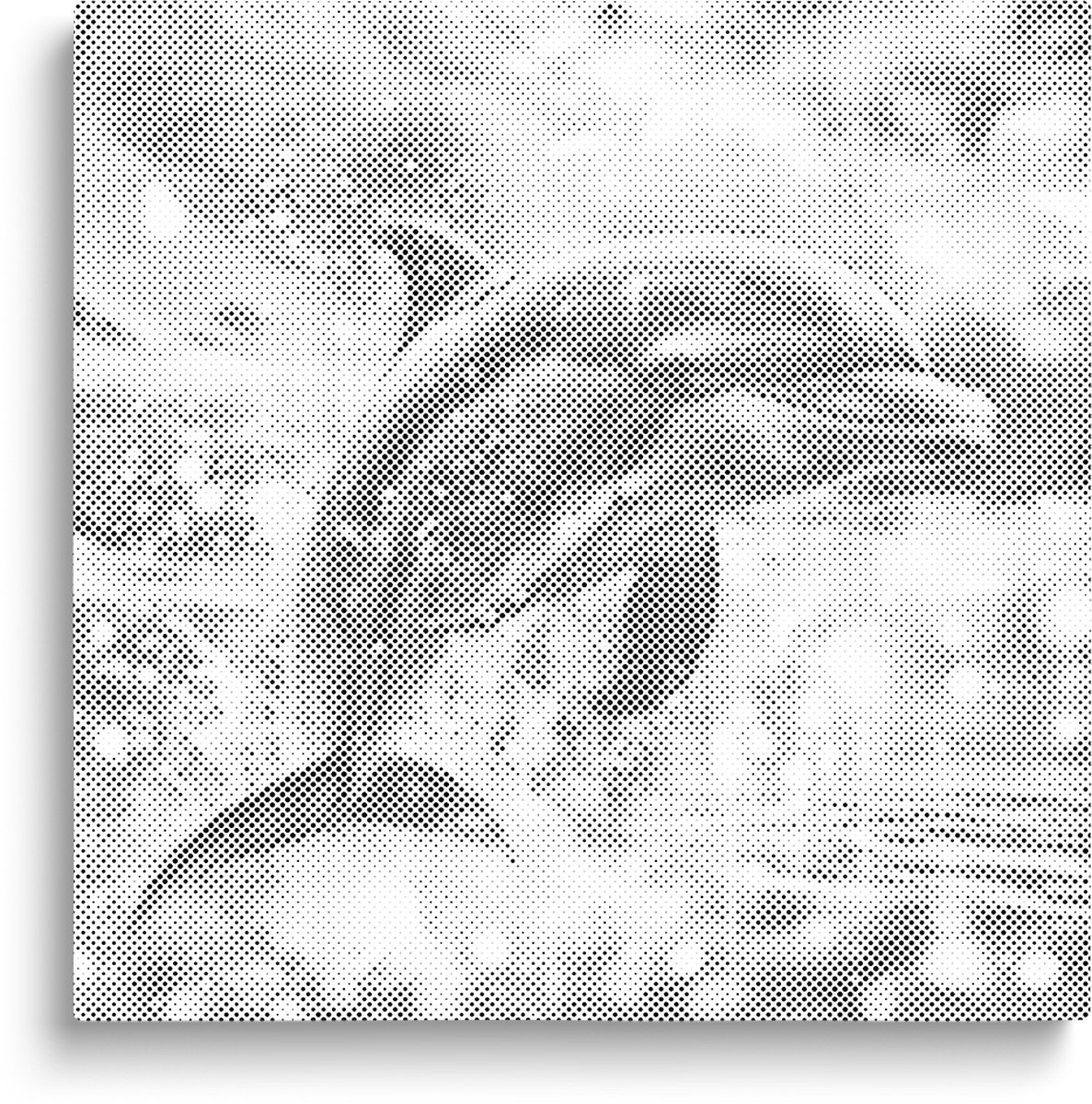 Dolfijn | Stippelschilderij | 50x50cm  Meest gekozen | Dot painting | Oh My Dotz | One color dots | Diamond painting & Schilderen op nummer alternatief | Cadeau